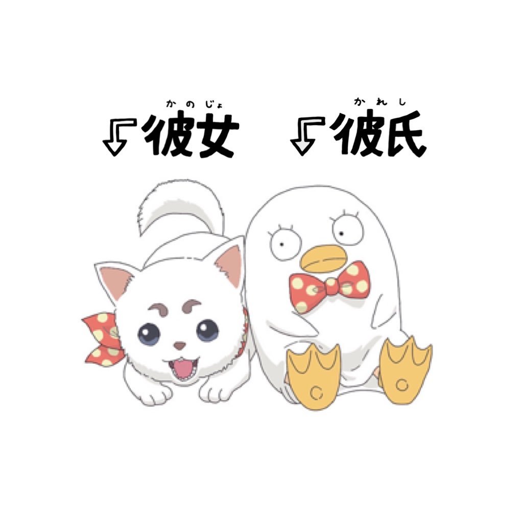 最近暇すぎてつらい /17歳高2♂だひょ /色んな人と仲良くなりたいなー/下もいけるよ/Twitter初心者