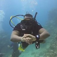 DavidMaila (@david_maila) 's Twitter Profile