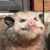 Nim! also sometimes Baylis. (@inimitablegreen) Twitter profile photo Nim! also sometimes Baylis. (@inimitablegreen) Twitter profile photo