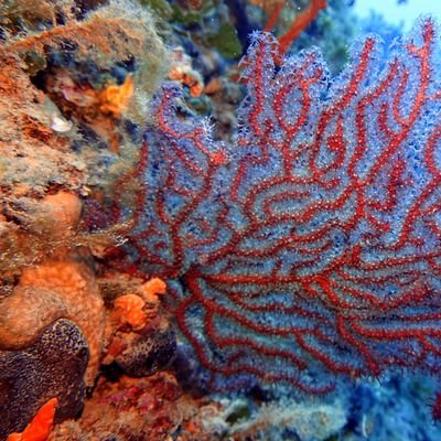 Anna66310's profile picture. ci sono