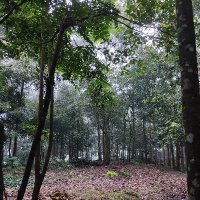 ... (@binyl_koshy) 's Twitter Profile Photo ... (@binyl_koshy) 's Twitter Profile Photo