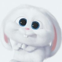 yang snowball the motivational bunny || ๐ ensd (@yangsnowball) 's Twitter Profile