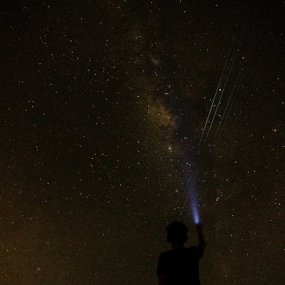 tptin76's profile picture. H A R D  W O R K I N G  B E E