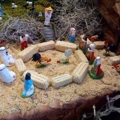 coral_yah's profile picture. Soltero tranquilo