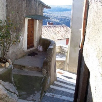 HappyGuitar1's profile picture. 