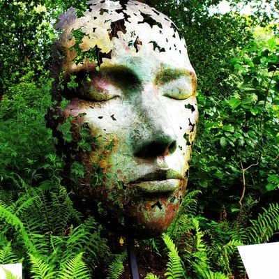 GeorgeA69028515's profile picture. 