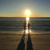 Sebation Thomas (@supremefirecpg) 's Twitter Profile