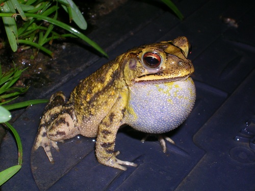 AdrianShelley's profile picture. The view from here is beautiful.