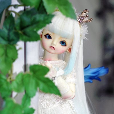 鯖颯天のドールアカウントさんのプロフィール画像