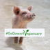 Alice Glendinning (@aliceglendinni1) Twitter profile photo Alice Glendinning (@aliceglendinni1) Twitter profile photo