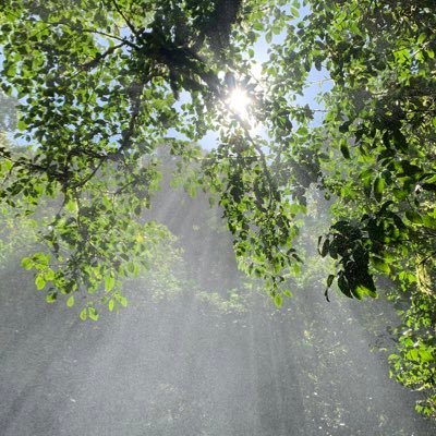 morrowkathy1's profile picture. “Sir, my concern is not whether God is on our side; my greatest concern is to be on God's side, for God is always right.” ABRAHAM LINCOLN