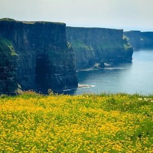 JeffreyAJackson's profile picture. 