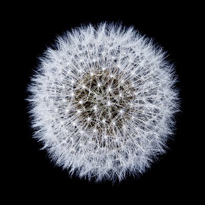 Ki_que_'s profile picture. Hearted fine