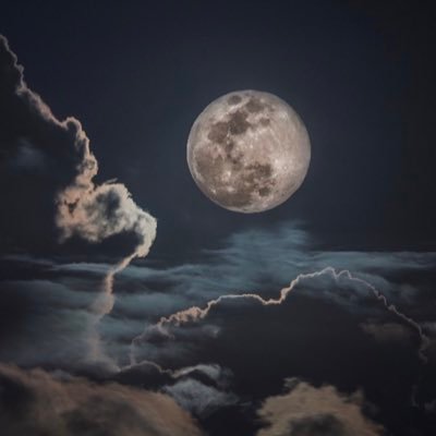 andraa76627817's profile picture. Hi I’m here for the amazing quotes❤️ love you