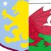 🏴🦁TheWelshBrummie 🦁🏴 (@welsh_brummie) Twitter profile photo 🏴🦁TheWelshBrummie 🦁🏴 (@welsh_brummie) Twitter profile photo
