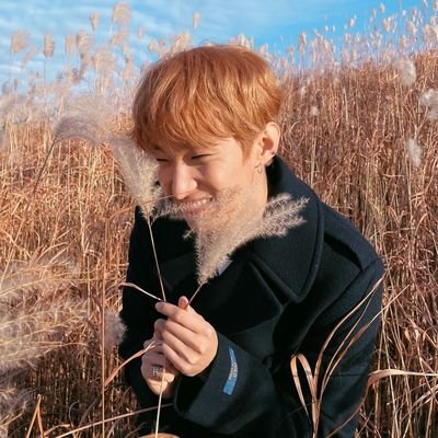 #SEVENTEEN • In the end, we’ll become one 💎• she┊her •