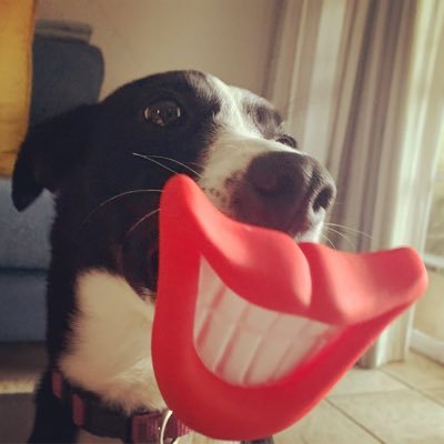 LittleBoyLew's profile picture. 