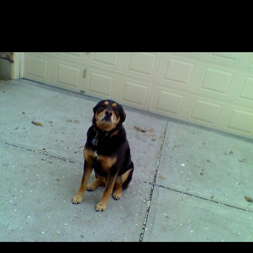 nlalbrinck's profile picture. 