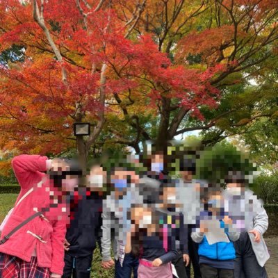 埼玉県本庄市、深谷市に、4教室❗️本庄教室。きらり教室。深谷かがやき支援教室。まなび支援教室。平成27年開所。児童指導員29名活躍中です!😄 社会との交流はXに投稿。日々の支援内容は各教室のインスタに投稿しています!🍀 スタッフは資格の無い方も積極的に採用しています。