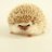 Mikaringoのアイコン