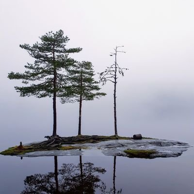 SimpleT12109709's profile picture. Some thoughts that I want to share