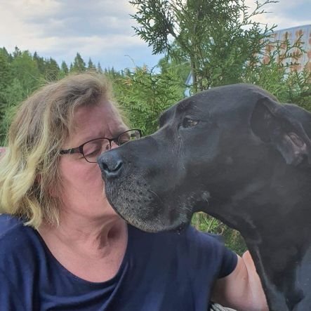 anne_viberg's profile picture. I have all the people and stuff I need IRL! I'm only in here to tweet, private messages will not be answered.