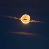 potosislp85 (@potosislp85) 's Twitter Profile