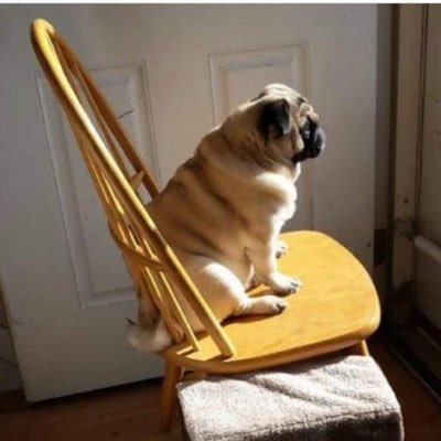 Tdboom2's profile picture. diário de um jovem entediado