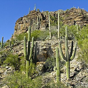 DScott76802270's profile picture. Native Tucsonan. Sarcastic! Hate Big Government! Conservative!