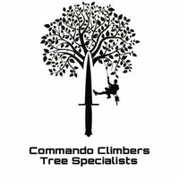 Commando Climbers Tree Specialists(@CdoClimbers) 's Twitter Profile Photo