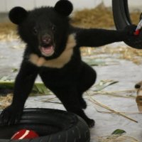 amatos hater #1 (@sum1_hasmyname) 's Twitter Profile Photo