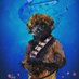 Chewie Cook (@chewiecook) Twitter profile photo Chewie Cook (@chewiecook) Twitter profile photo