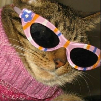 pnkslf's profile picture. suz | femme lesbian | soup enthusiast | she/her |