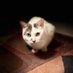 Jen๐ถ๐ถ๐ธ๐บ๐ธ (@mollycat1965) Twitter profile photo Jen๐ถ๐ถ๐ธ๐บ๐ธ (@mollycat1965) Twitter profile photo