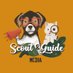 Scout & Guide Media (@scoutnguide) Twitter profile photo Scout & Guide Media (@scoutnguide) Twitter profile photo