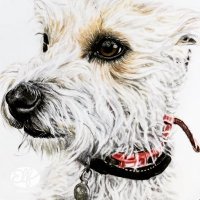 Purfect Painted Pets(@PaintedPets) 's Twitter Profile Photo
