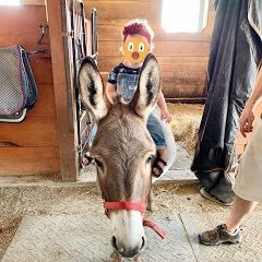 Hi, I am a mom blogger and I decided to share short stories about my adventures with my little girl. Each one describes just how wild having a toddler can be.