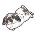 ののきち (@nonokiti) Twitter profile photo ののきち (@nonokiti) Twitter profile photo