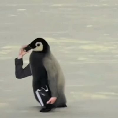 Herbal_Ti's profile picture. 