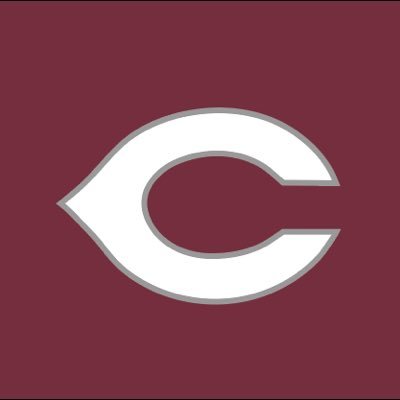 Official account of the Collierville Boys Lacrosse program. Supporting lacrosse in the Town of Collierville for boys in grades 3-12. #TheVilleLax #GoDragonsGo