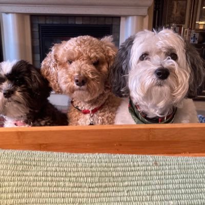 cathygr01971369's profile picture. retired teacher and current wife, mom and grandma