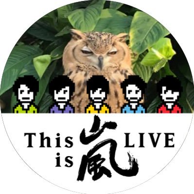 sorashi_5_2020's profile picture. 