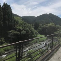 博基 (@rindouhisashi) 's Twitter Profile
