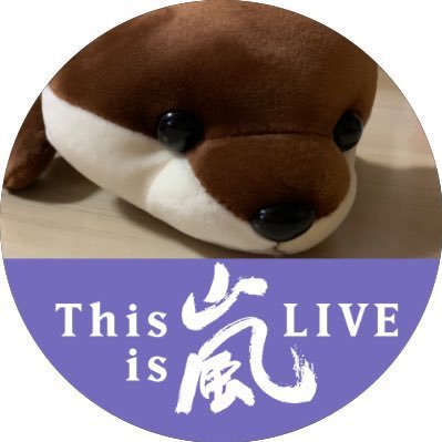 AMNOS5_4ever's profile picture. 84-85LINEの斗真世代。嵐5人がまるっと大好きです💚💜💛💙❤️嵐ありがとう。今までもこれからもずーっと大好きです。いつも幸せありがとう🥺