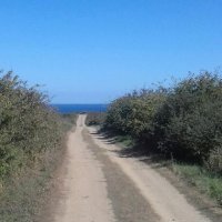 Luc Daireaux (@lucdaireaux) 's Twitter Profile Photo