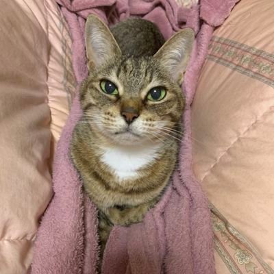 20代/酪農女子
無言フォロー多いです。急にいなくなったり出てきたり、あまり動きません。
フォローしてくださった皆さんありがとうございます(^^)