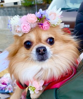 6u9746E43WbPIFD's profile picture. 