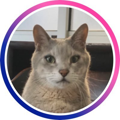 asamap3's profile picture. 4年ほど野良でやらせてもらってます