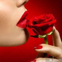 Elena De Troya (@elena45520108) 's Twitter Profile