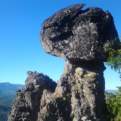 sunsetriderrrr's profile picture. Tribalism will drown us all.